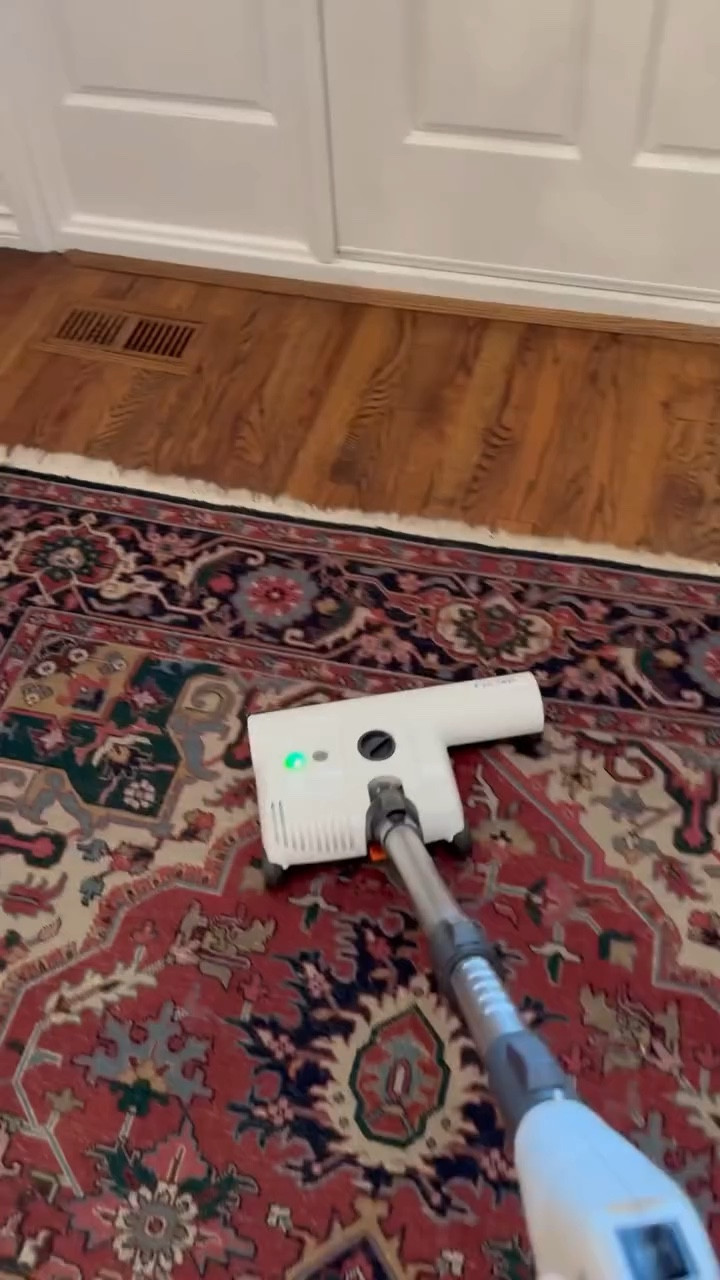 Do you deep clean your rugs regularly? Here is how I do mine!