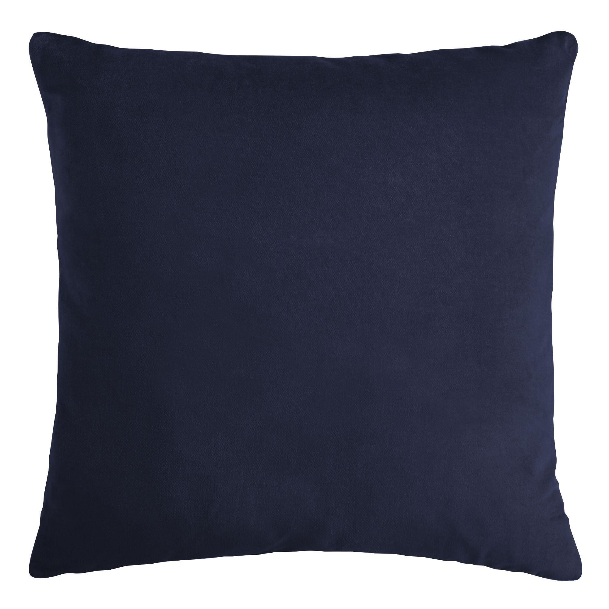 Velvet Throw Pillow | World Market