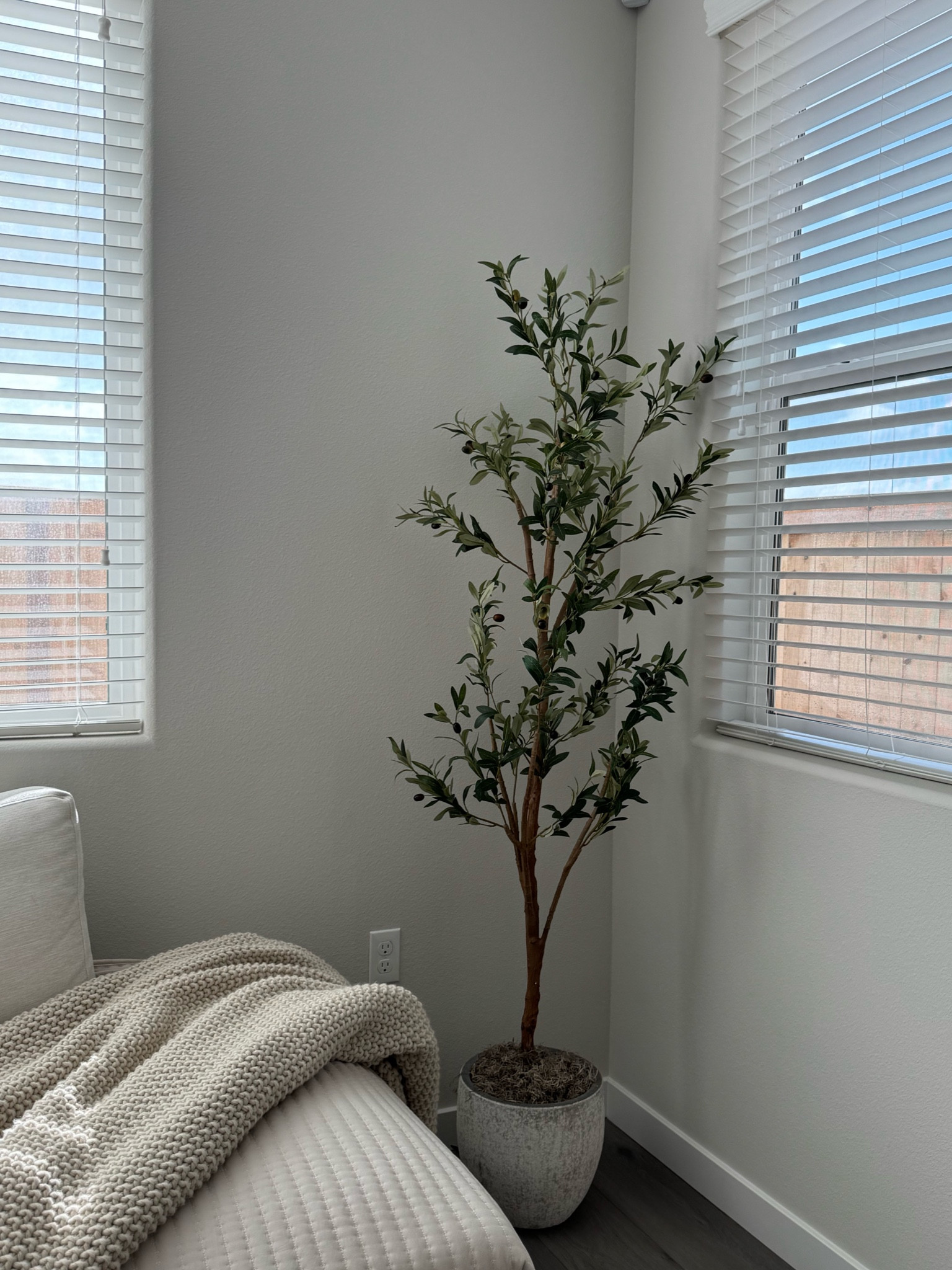 Walmart Olive Tree

#LTKHome