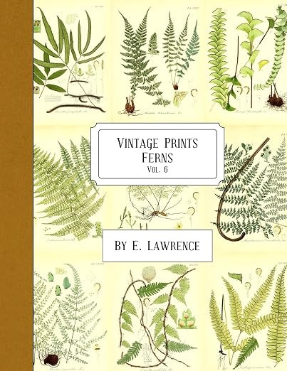 Vintage Prints: Ferns: Vol. 6 | Amazon (US)