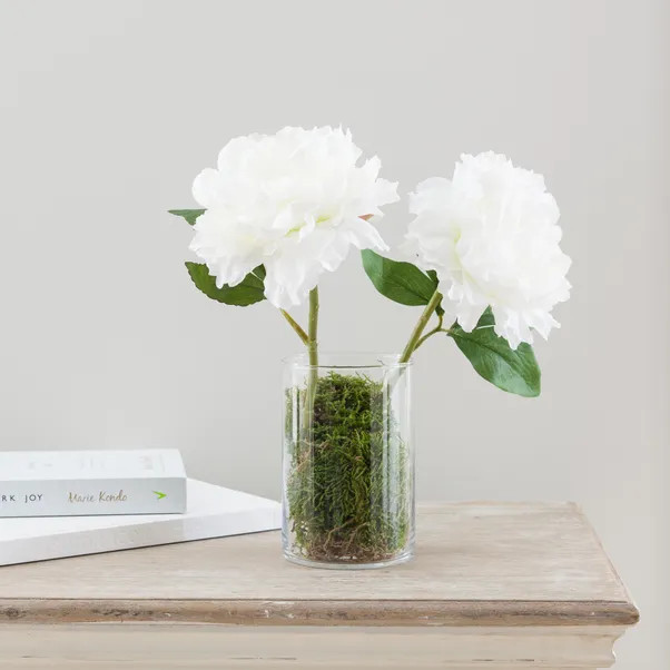 Dried Natural Moss | Dunelm