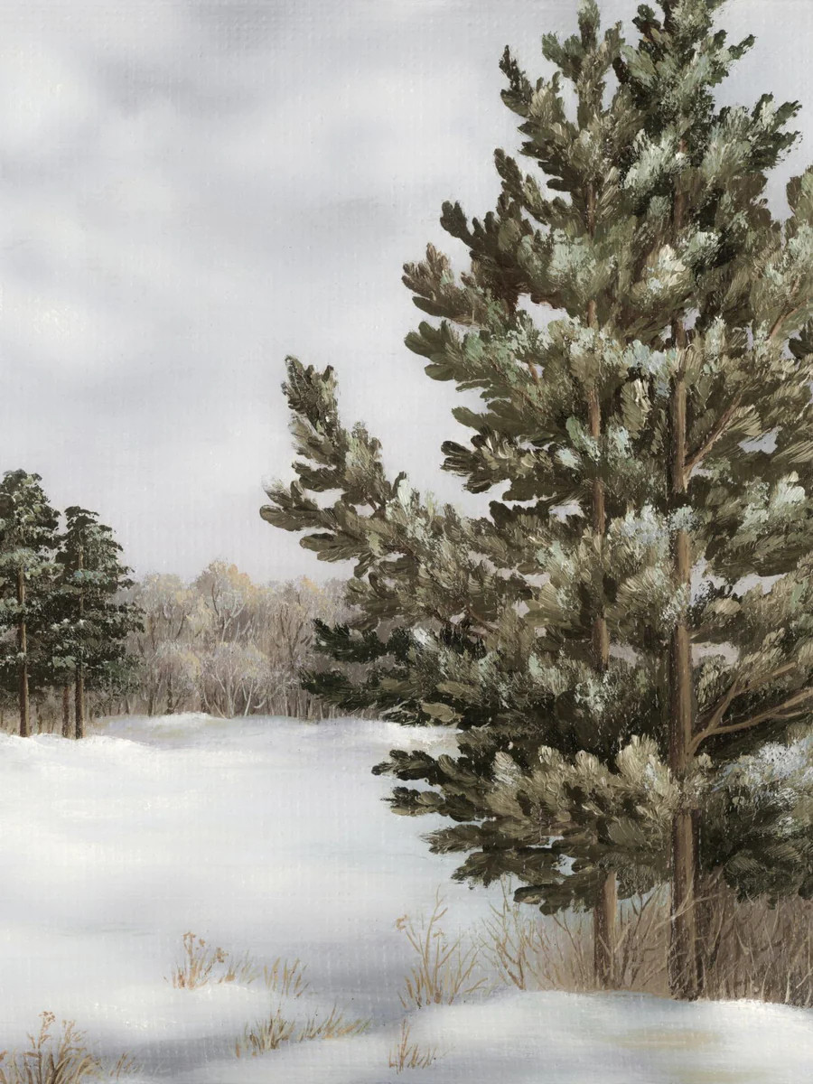 Pine Forest | Collection Prints