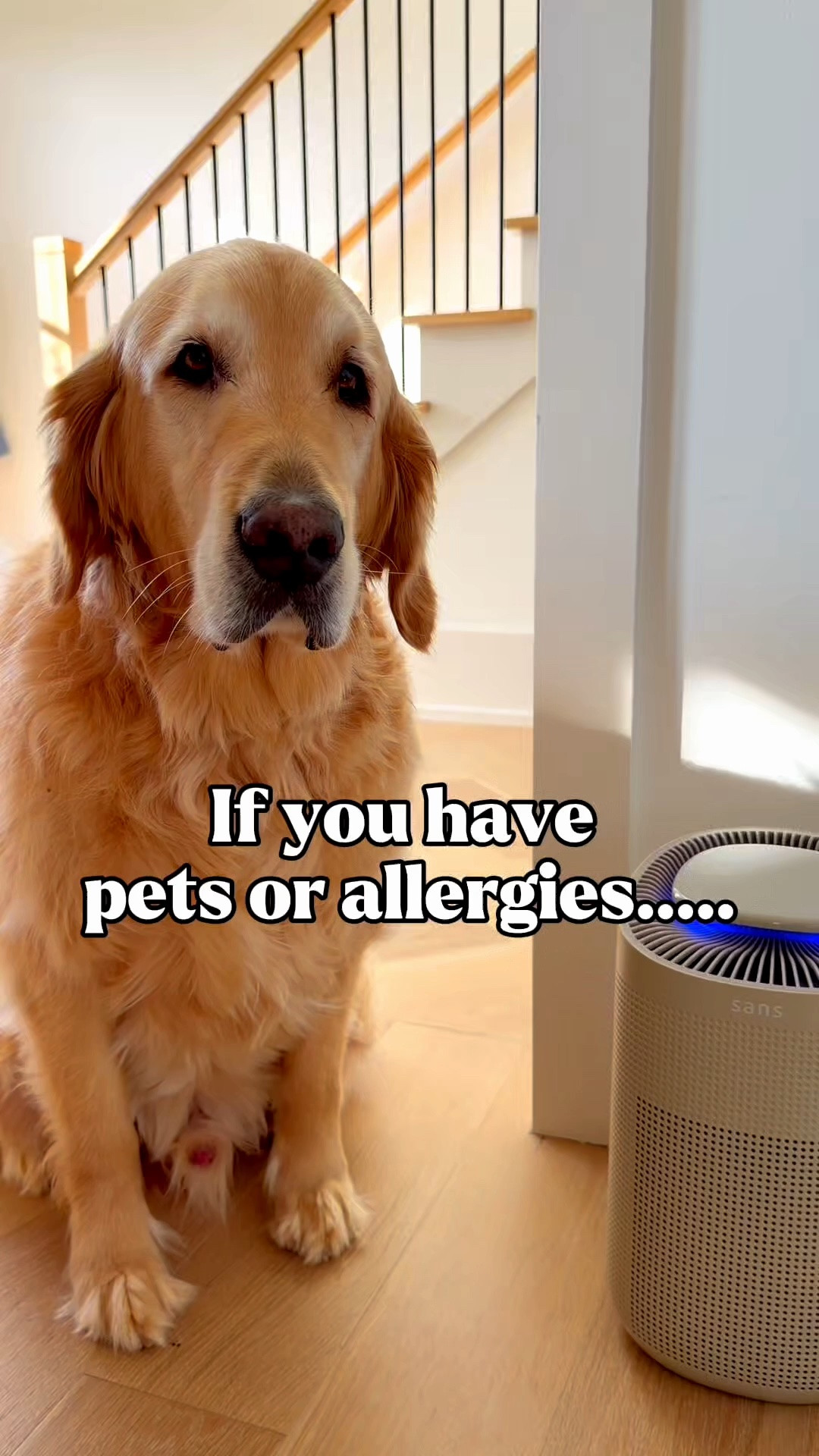 Seven kids and dogs mean dust, dander, and everyday odors. The Sans Mini uses HEPA filtration and activated carbon to help tackle all three, with coverage for rooms up to 490 square feet. It’s quiet, compact, and has a lights-out mode for bedrooms. Exactly the kind of help a busy house needs.