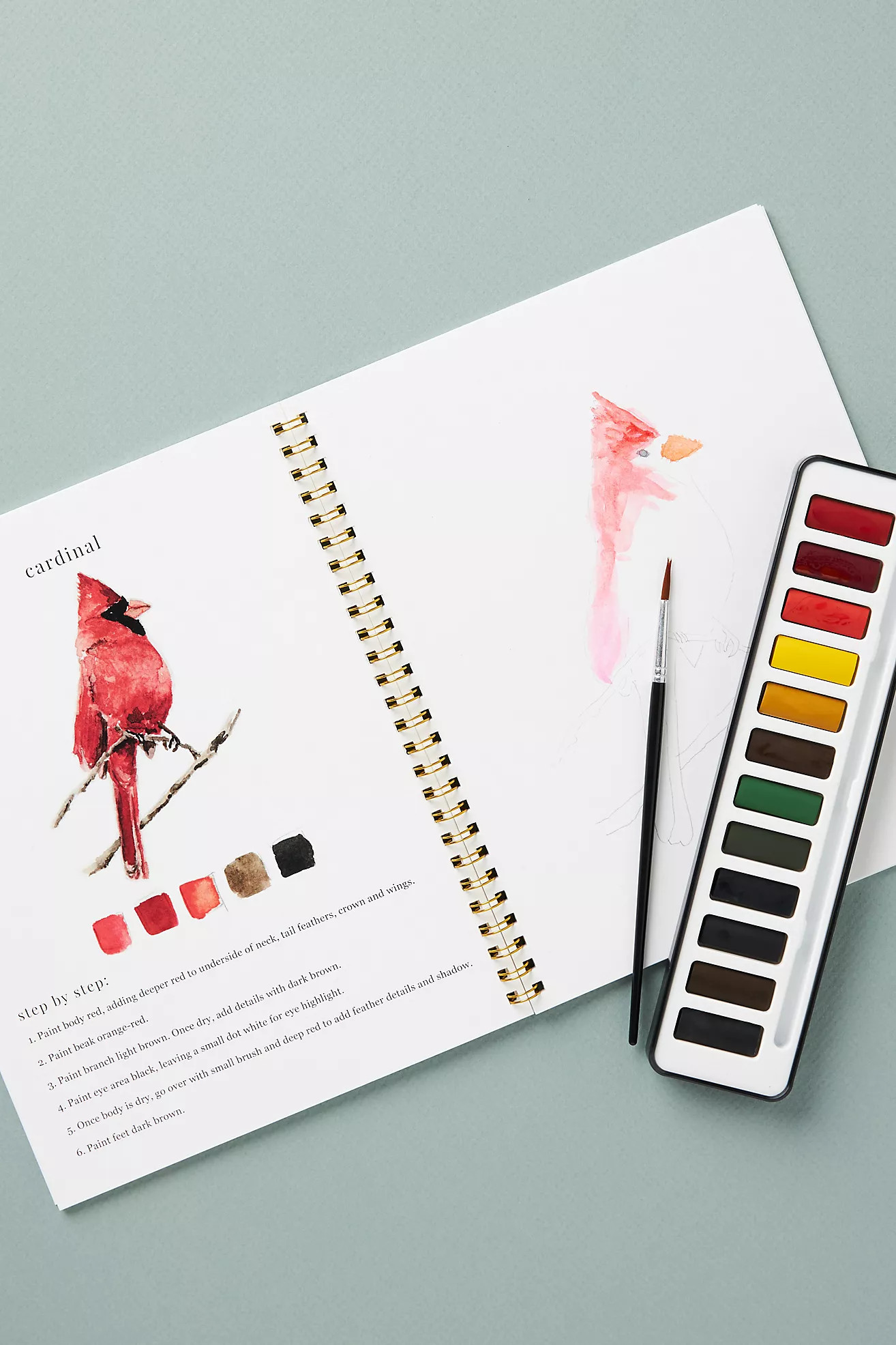 Emily Lex Studio Watercolor Set | Anthropologie (US)