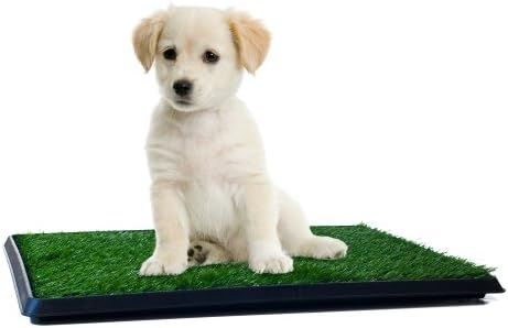 PETMAKER Artificial Grass Puppy Pad Collection - for Dogs and Small Pets – Portable Training Pa... | Amazon (US)