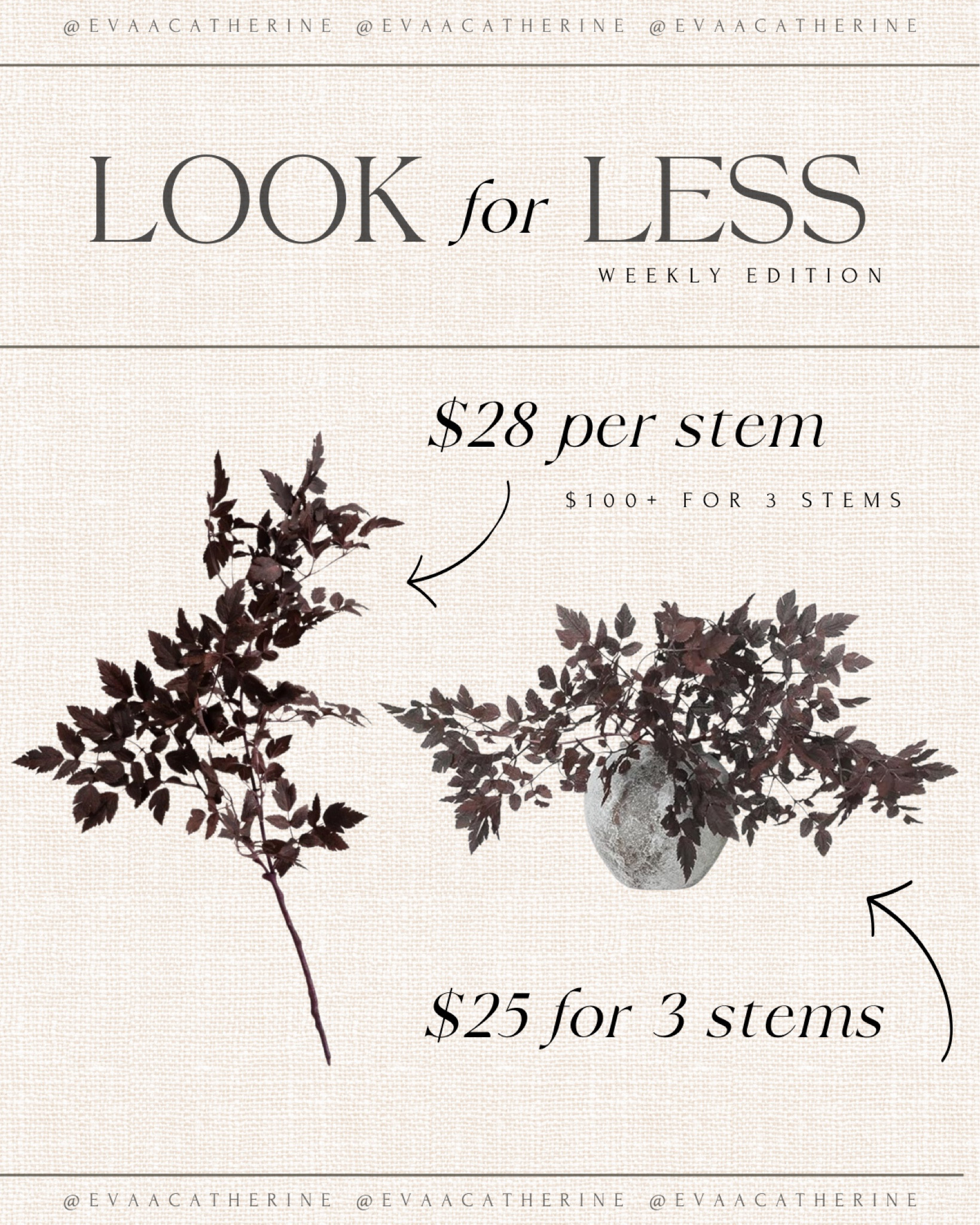 The most beautiful dark stems! These are perfect for fall and then blend seamlessly with spooky Halloween decor 🤎