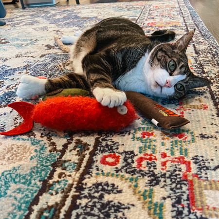 The best catnip toys ever 😻 my pets’ all time favorite toys 

#LTKfamily #LTKhome #LTKGiftGuide