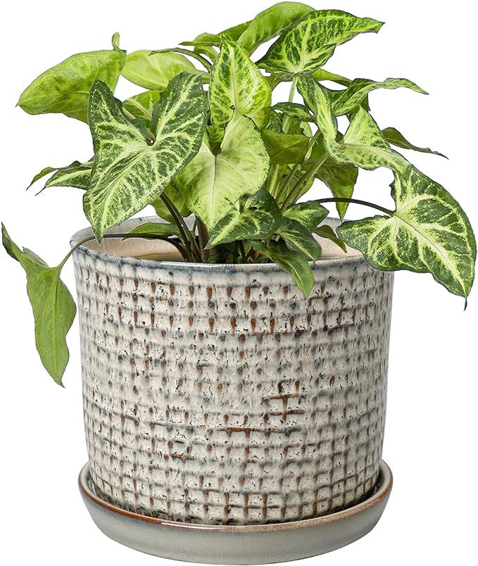 DILATATA Blue Planter for Indoor Plants 6 Inch Ceramic Plant Pot with Drainage Hole and Attached ... | Amazon (US)
