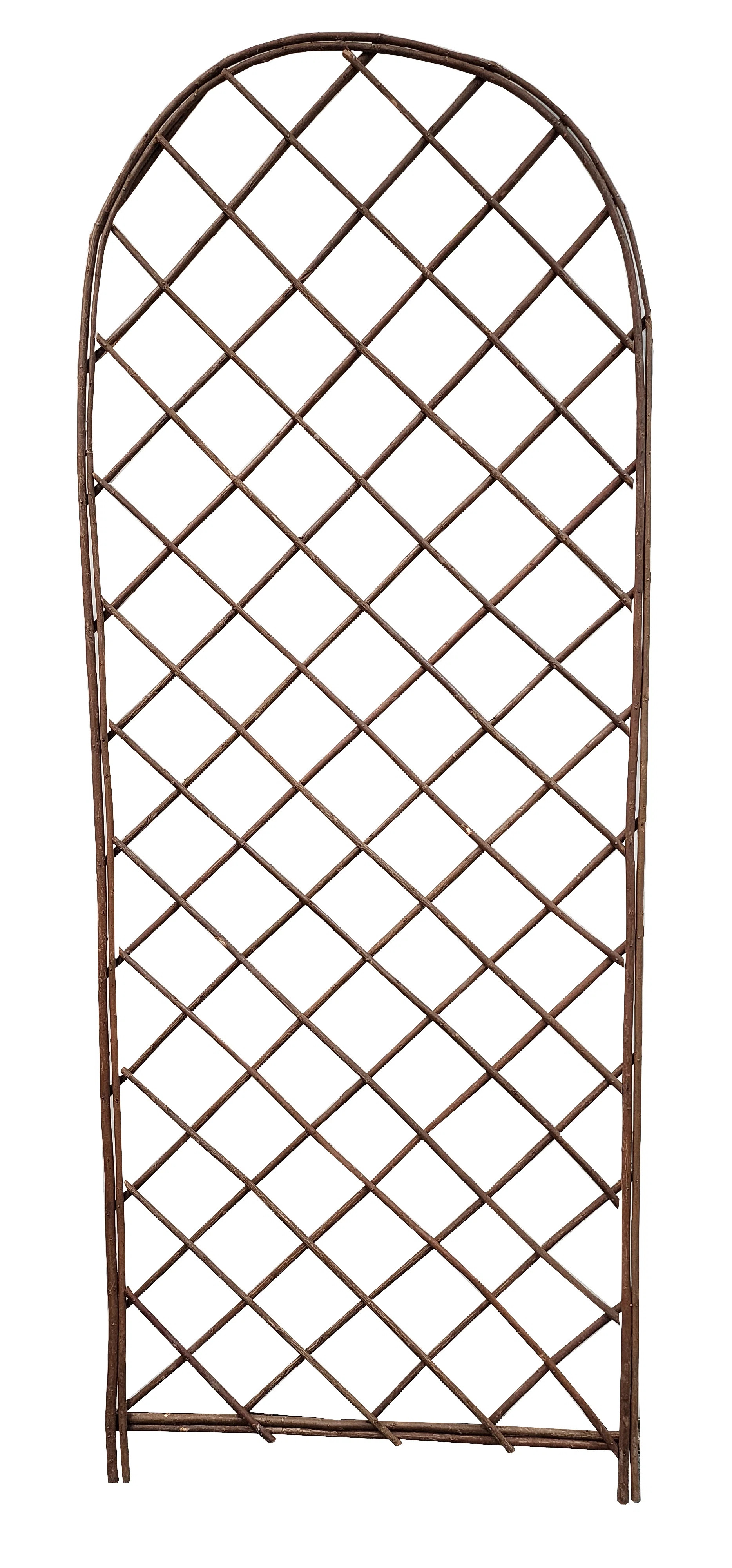 60'' H x 24'' W Wood Trellis | Wayfair North America