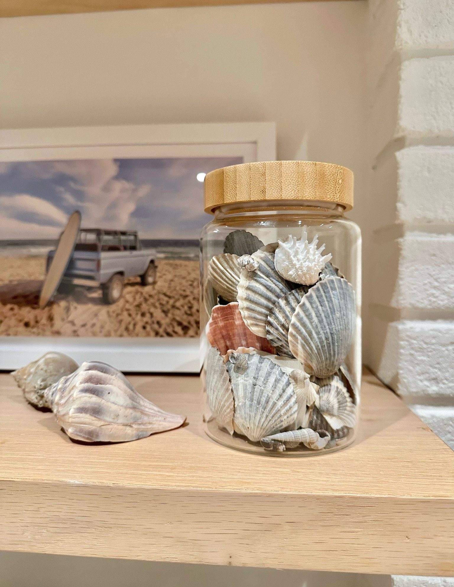 My shell collection is growing - going to need more jars and the next size up!

Shelf styling
Living room
Wood shelves
Collecting
Seashells 
Glass jars
Wood
Beach theme
Beach house decor

#LTKFindsUnder50 #LTKHome