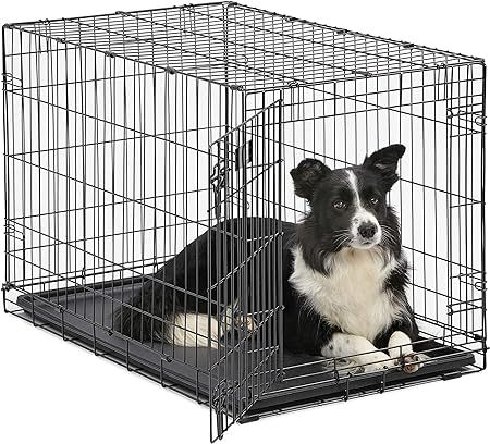 MidWest Homes for Pets iCrate, Single Door & Double Door Dog Crates | Amazon (US)