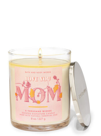 A Thousand Wishes


Signature Single Wick Candle | Bath & Body Works