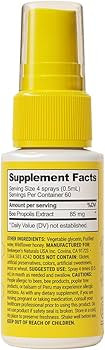 Beekeeper's Naturals Propolis Throat Spray for Daily Immune Support, 1 oz | Amazon (US)