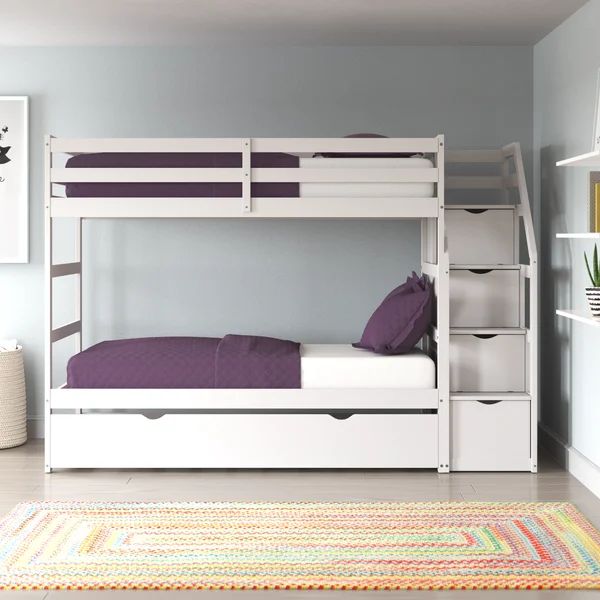 Zosi Queen Canopy Bed with Trundle and Storage | Wayfair North America