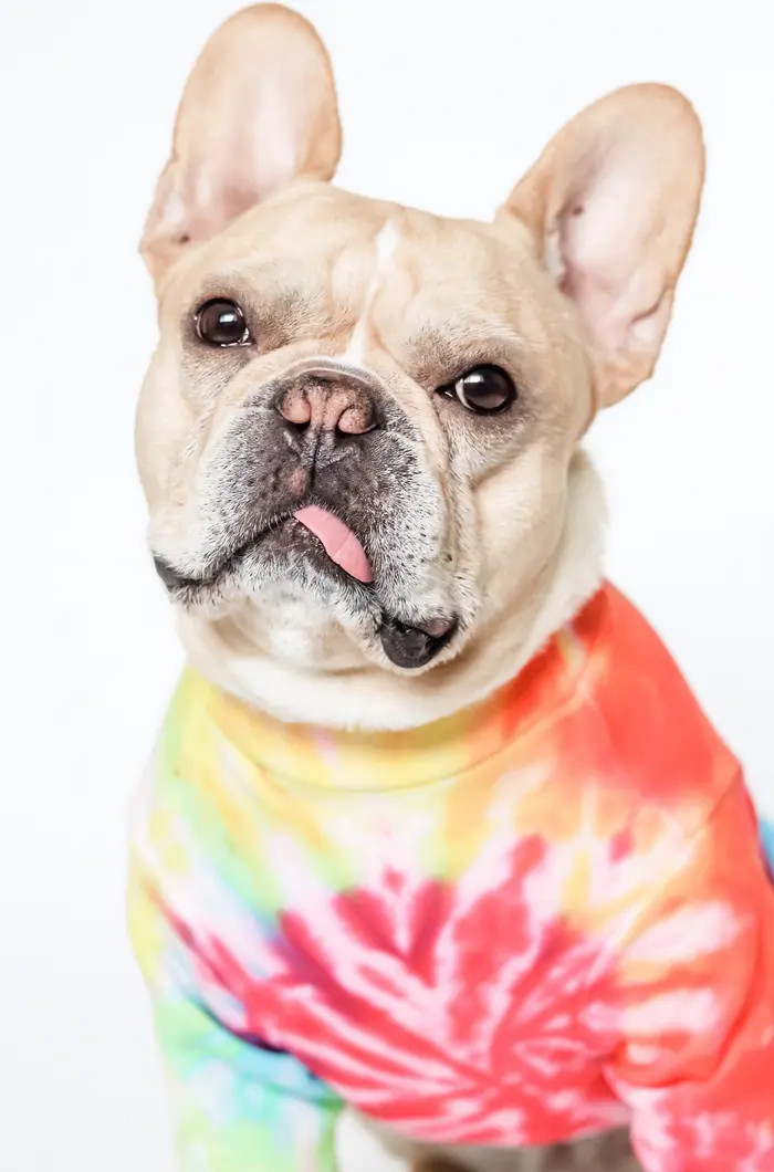 Rainbow Tie-Dye Dog Tee | Nordstrom