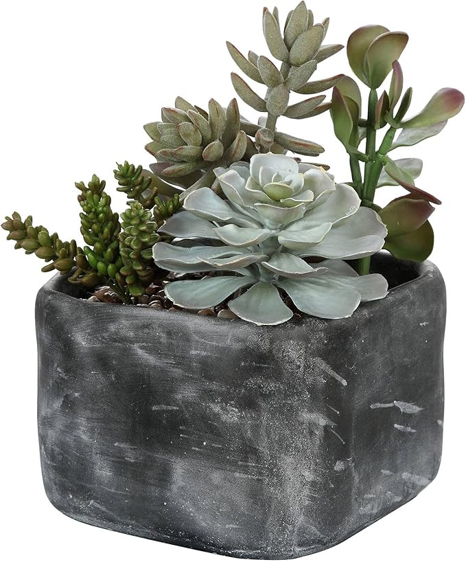 Uttermost 60173 Alverio - 10 inch Desert Garden Succulents, Mottled Charcoal Gray Finish | Amazon (US)