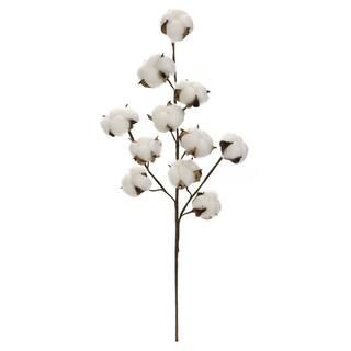 Cotton Stem by Ashland® | Michaels Stores