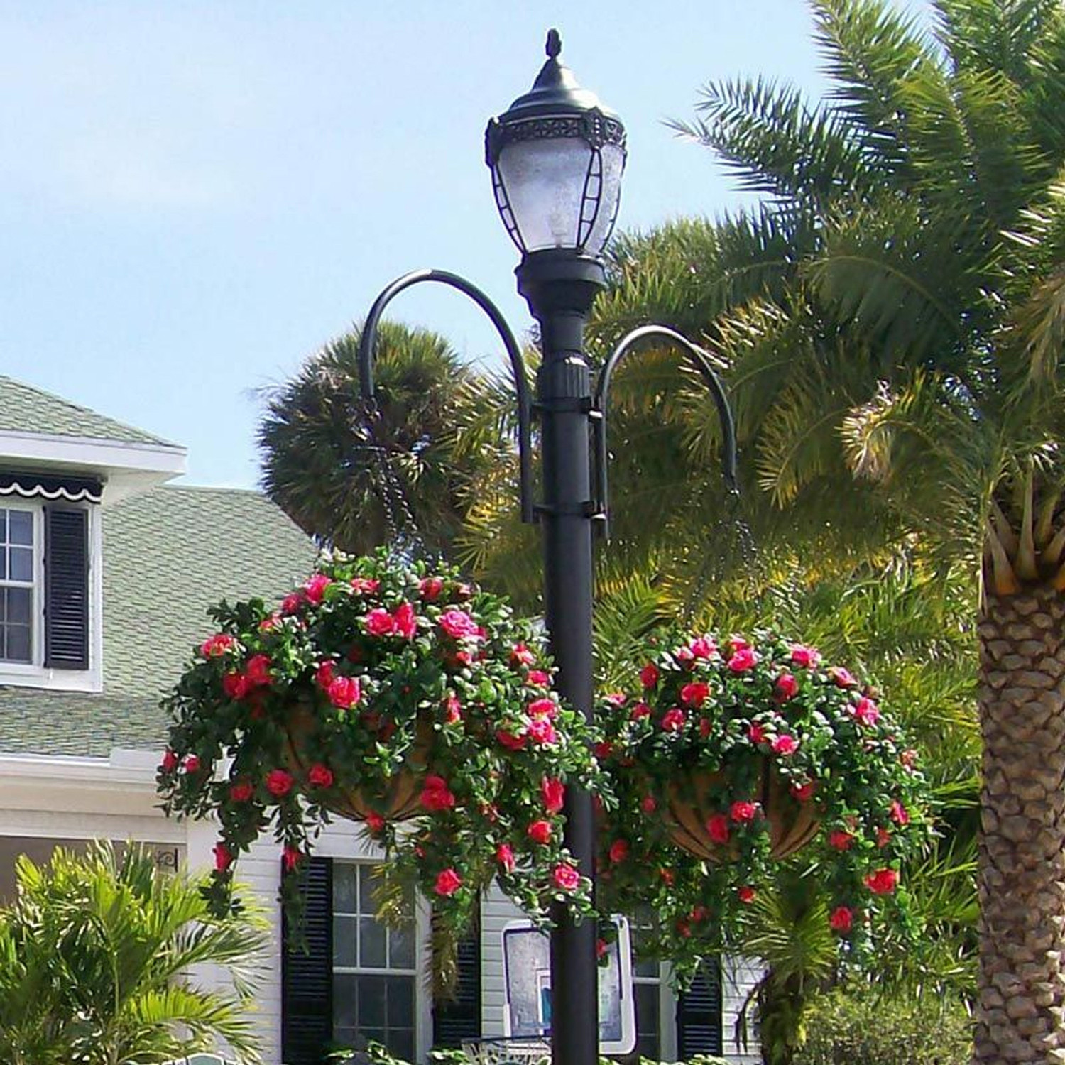 Large English Garden Hanging Baskets- 2 Sizes | Hooks and Lattice