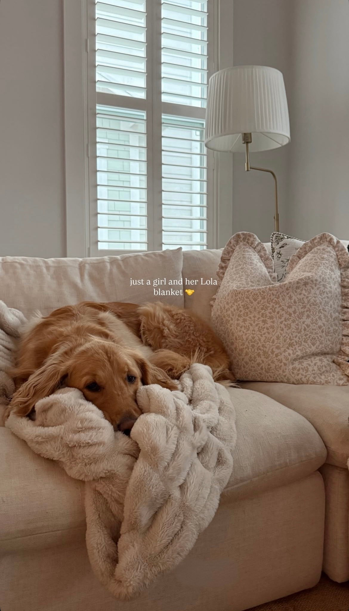 Lola Blanket

#LTKHome