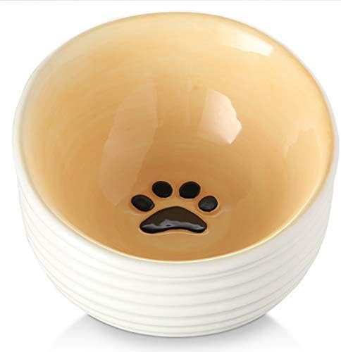 Y YHY Cat Food Bowls,15 Ounce Tilted Ceramic Cat Bowls, Elevated Cat Bowl Anti Vomiting, Raised C... | Amazon (US)