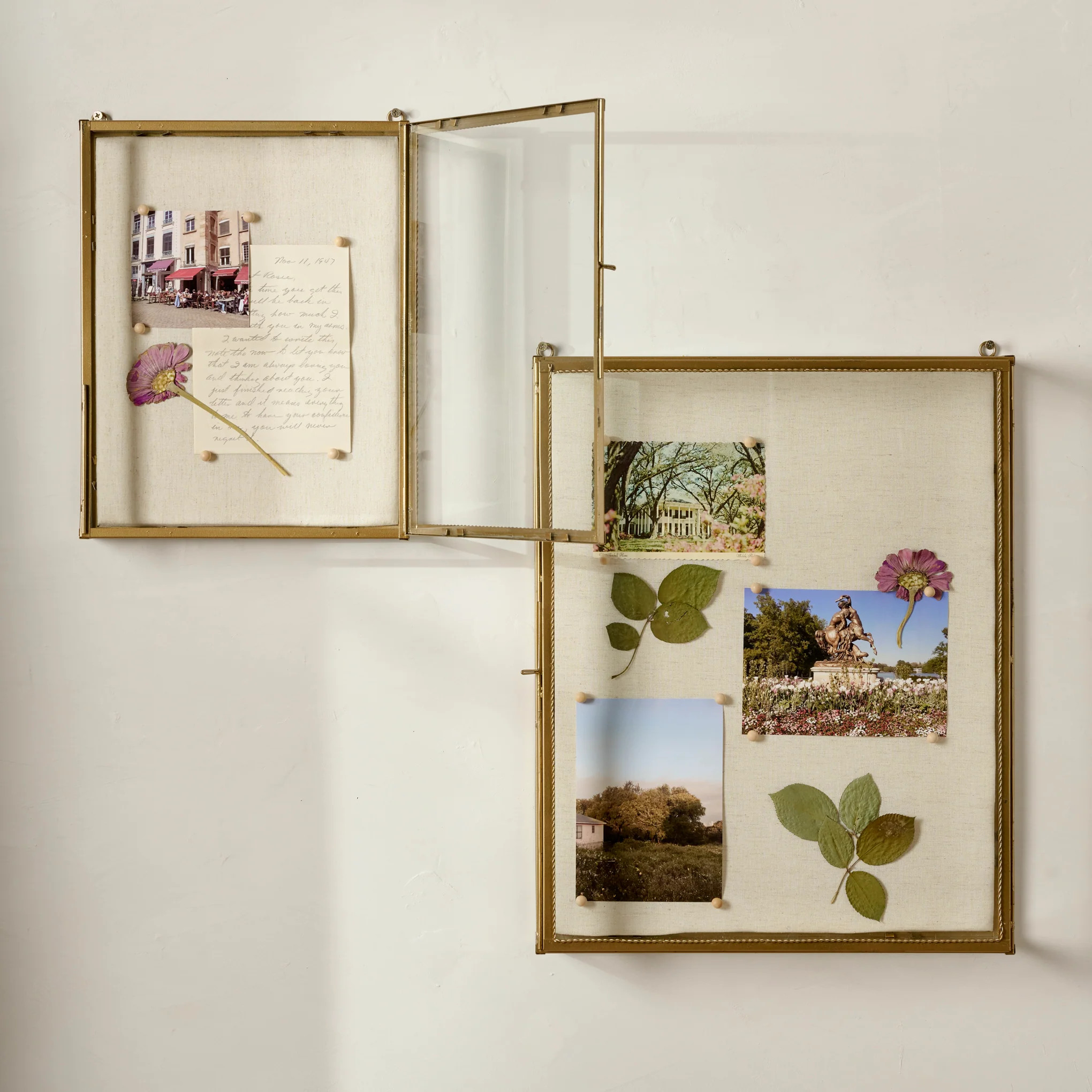 Your Story Brass Display Cabinet | Magnolia