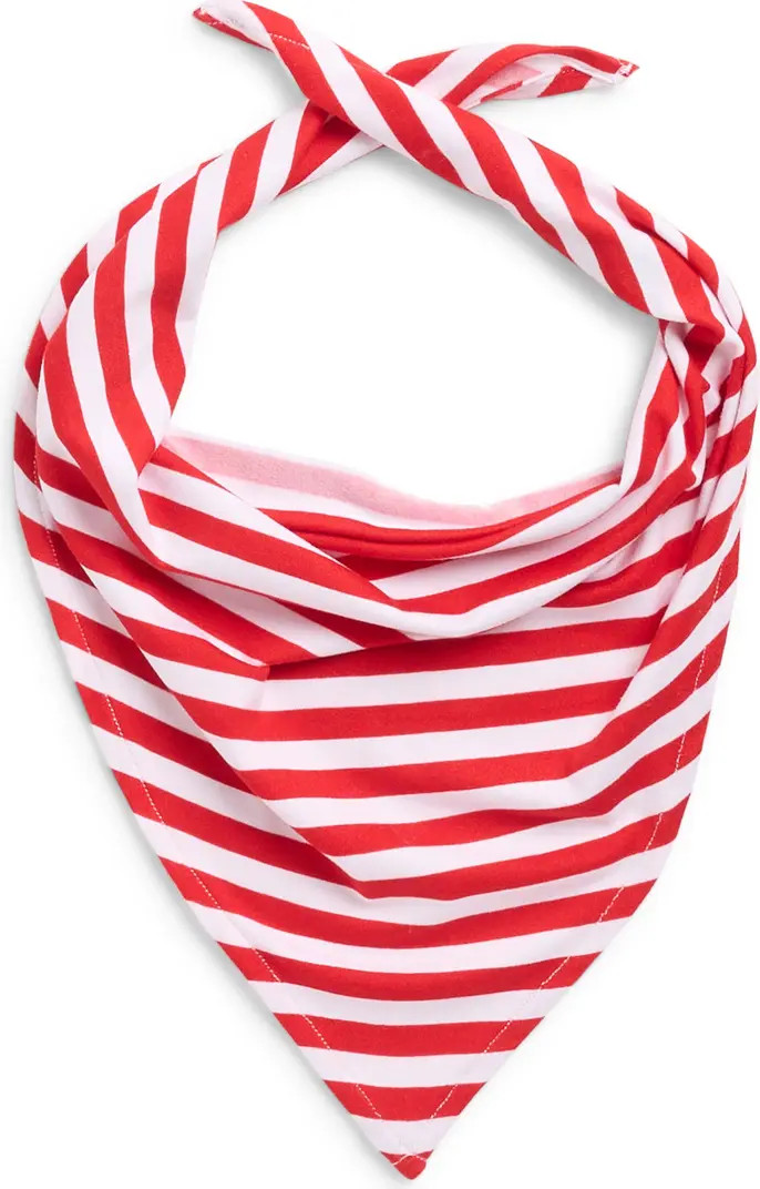 Matching Family Stripe Print Pet Bandana | Nordstrom Rack