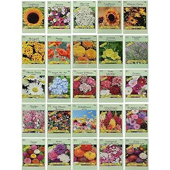 25 Slightly Assorted Flower Seed Packets - Includes 10+ Varieties - May Include: Forget Me Nots, ... | Amazon (US)