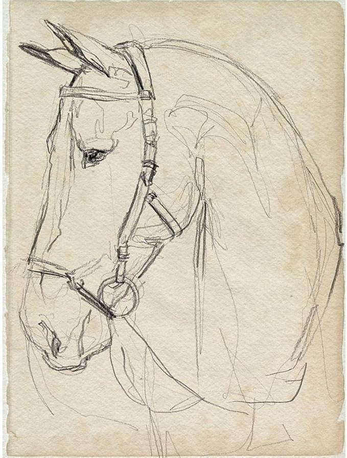 ArtDirect Horse in Bridle Sketch II 8x10 UnFramed Art Print Poster Ready for Framing by Parker, J... | Amazon (US)