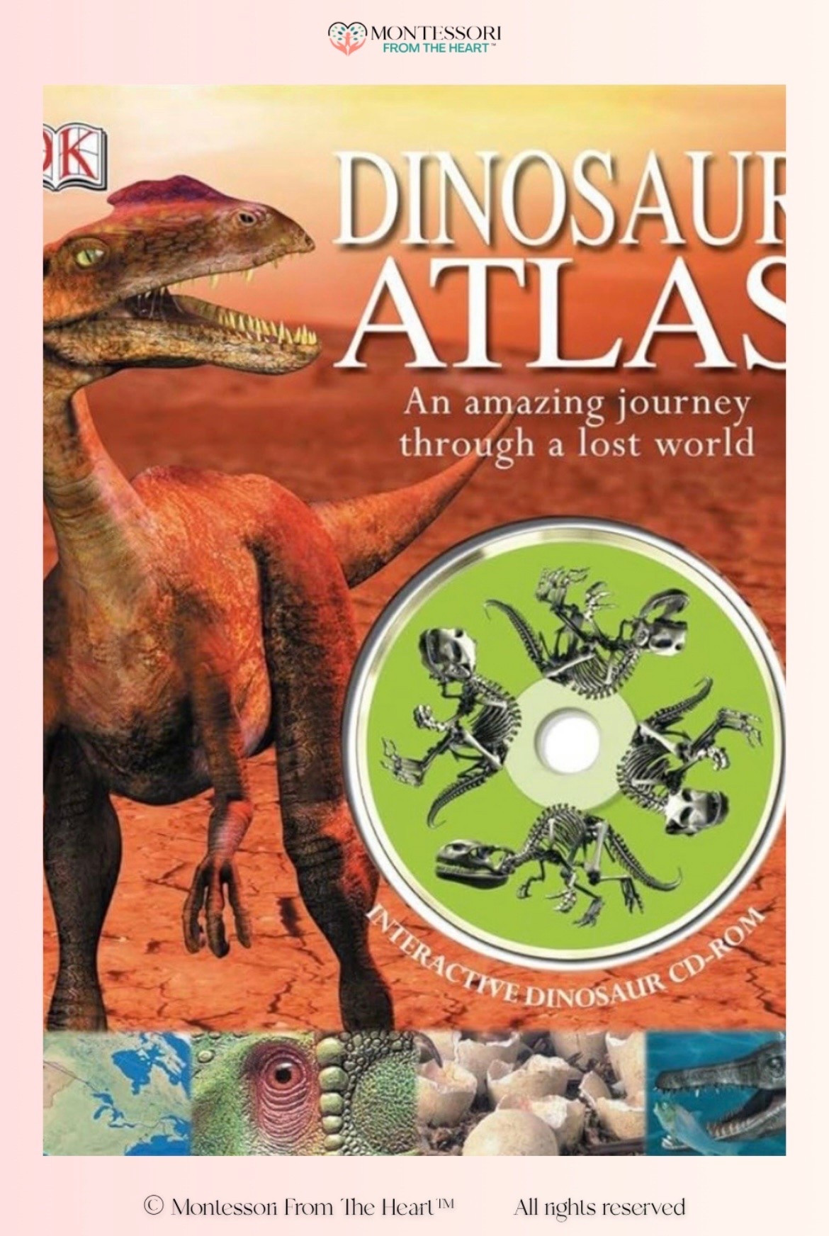 DK Dinosaur Atlas ~ Book for Kids

#LTKhome #LTKkids #LTKfamily