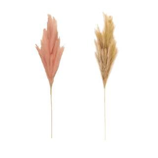 Assorted Wispy Pampas Stem by Ashland® | Michaels Stores