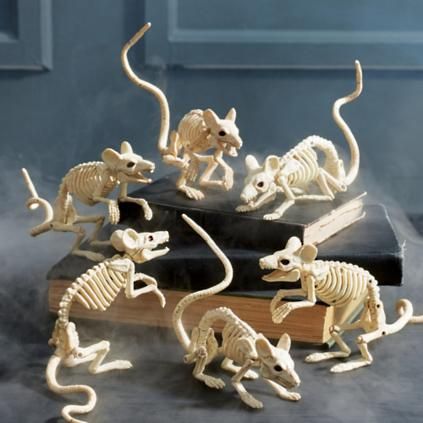 Skeleton Mice, Set of Six | Grandin Road