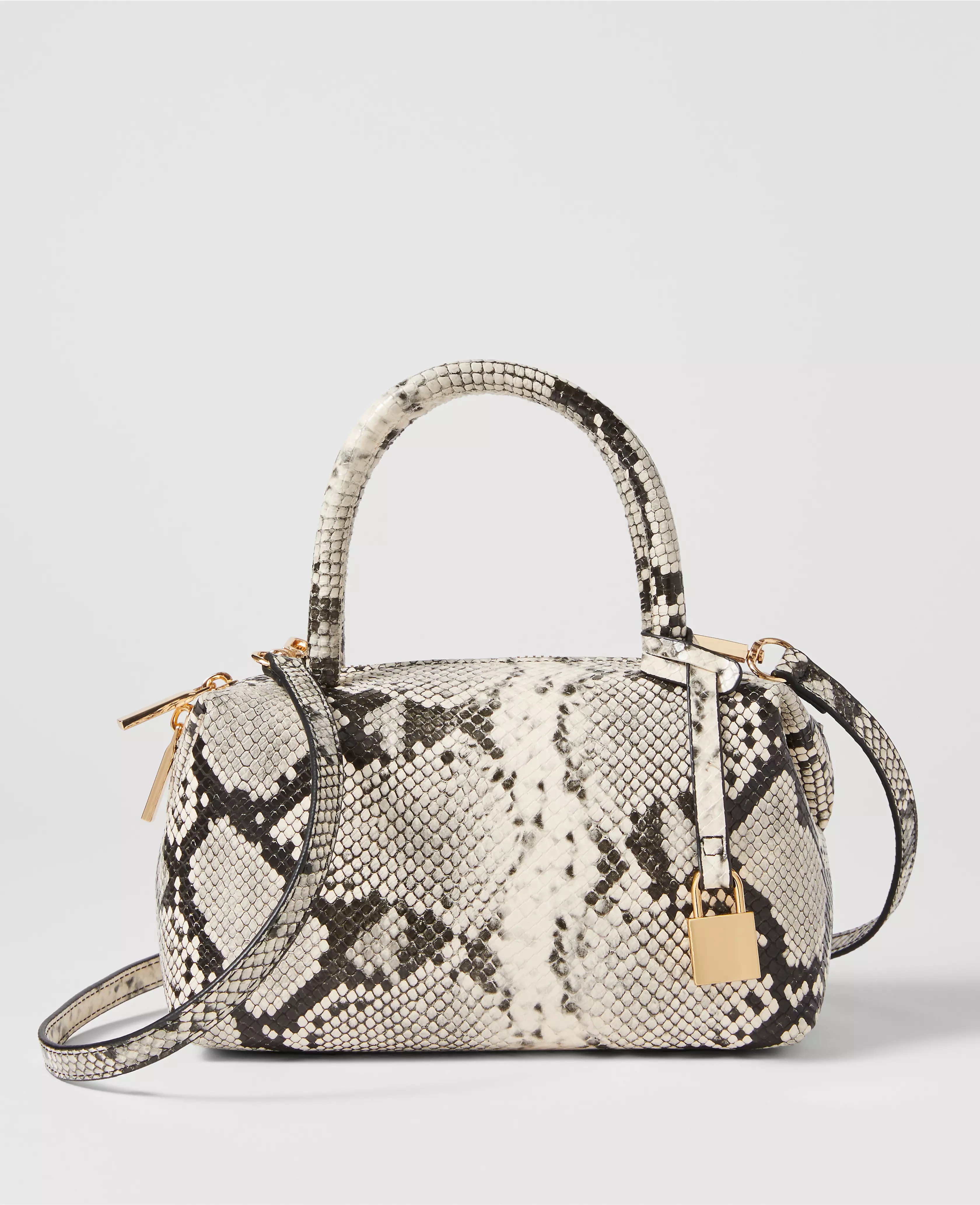 Snake Print Mini Crossbody Bag | Ann Taylor