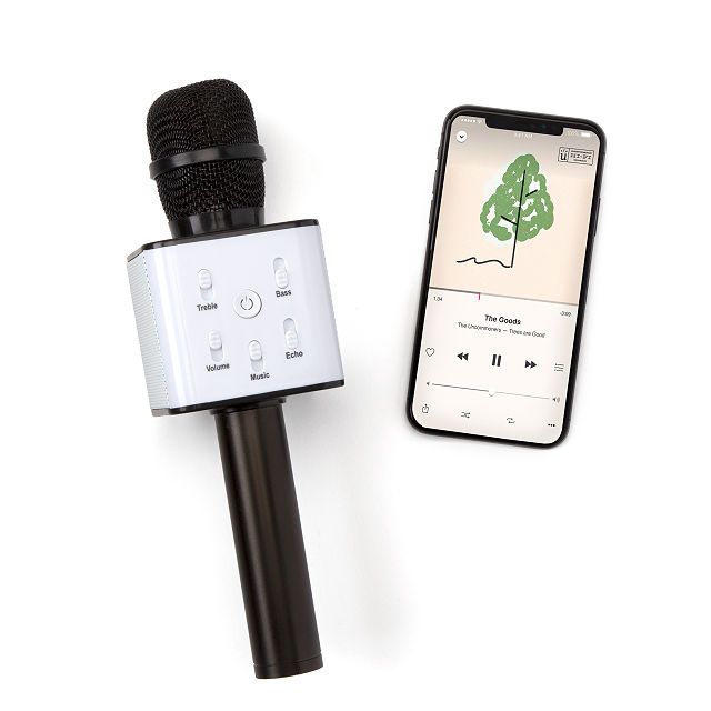 Karaoke Microphone Speaker | UncommonGoods
