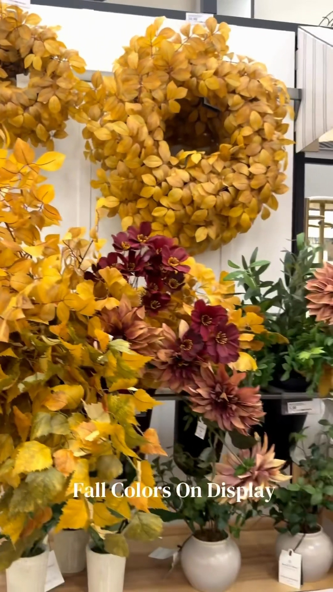 Fall colors are on display at Target!

Target is filled with an array of beautiful fall wreaths, seasonal foliage, and gorgeous vases that make it easy to bring the warmth of autumn into your home. From rich, cozy tones to natural textures, these pieces are perfect for creating an inviting fall-inspired space. 🤎

Shop these beautiful Target finds before they’re gone, and start decorating for the season! 🍁

#FallDecor #TargetFinds #TargetHaul #FallHomeDecor #AutumnDecor

#LTKHome