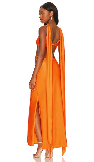 Ribera Maxi Dress in Amber | Revolve Clothing (Global)