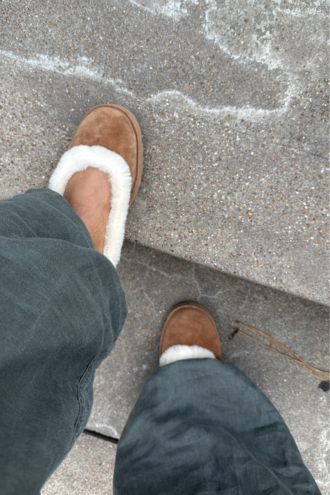 These are my new favorite everyday flats! How cute. They run true to size! #ltkstyletip #styletip #newshoes 

#LTKgrwm #LTKootd #LTKTall