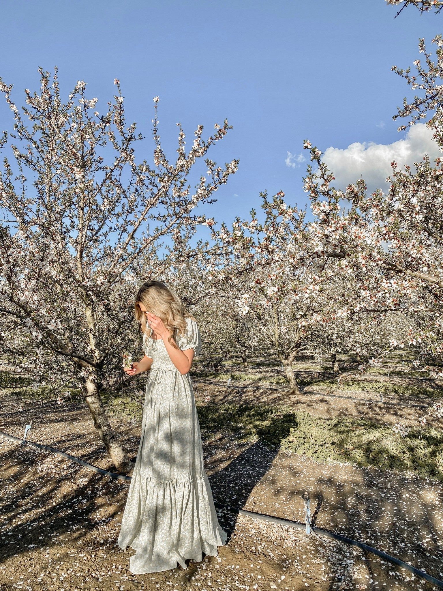 floral spring dress 🤍




#LTKTall #LTKWedding #LTKmomlife