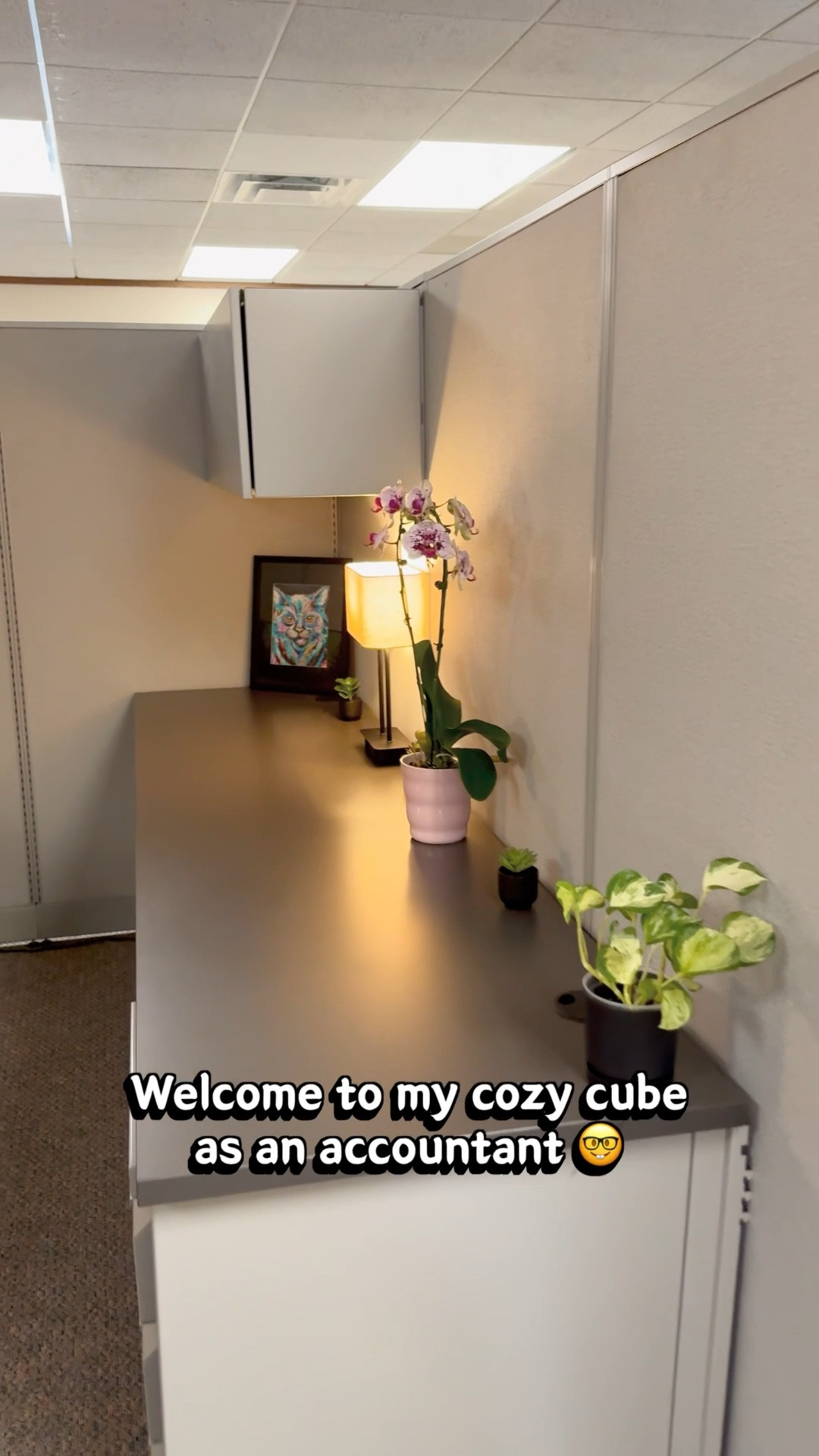 Welcome to my cozy cube! I’ve added all decor, lamps, and plants. Can you tell what my favorite color and animal is?? 💗🤣 

#LTKdayinmylife #LTKWorkwear #LTKmorningroutine