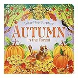 Autumn In The Forest Deluxe Lift-a-Flap & Pop-Up Seasons Board Book for Fall (Lift-a-flap Surpris... | Amazon (US)