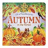 Autumn In The Forest Deluxe Lift-a-Flap & Pop-Up Seasons Board Book for Fall | Amazon (US)