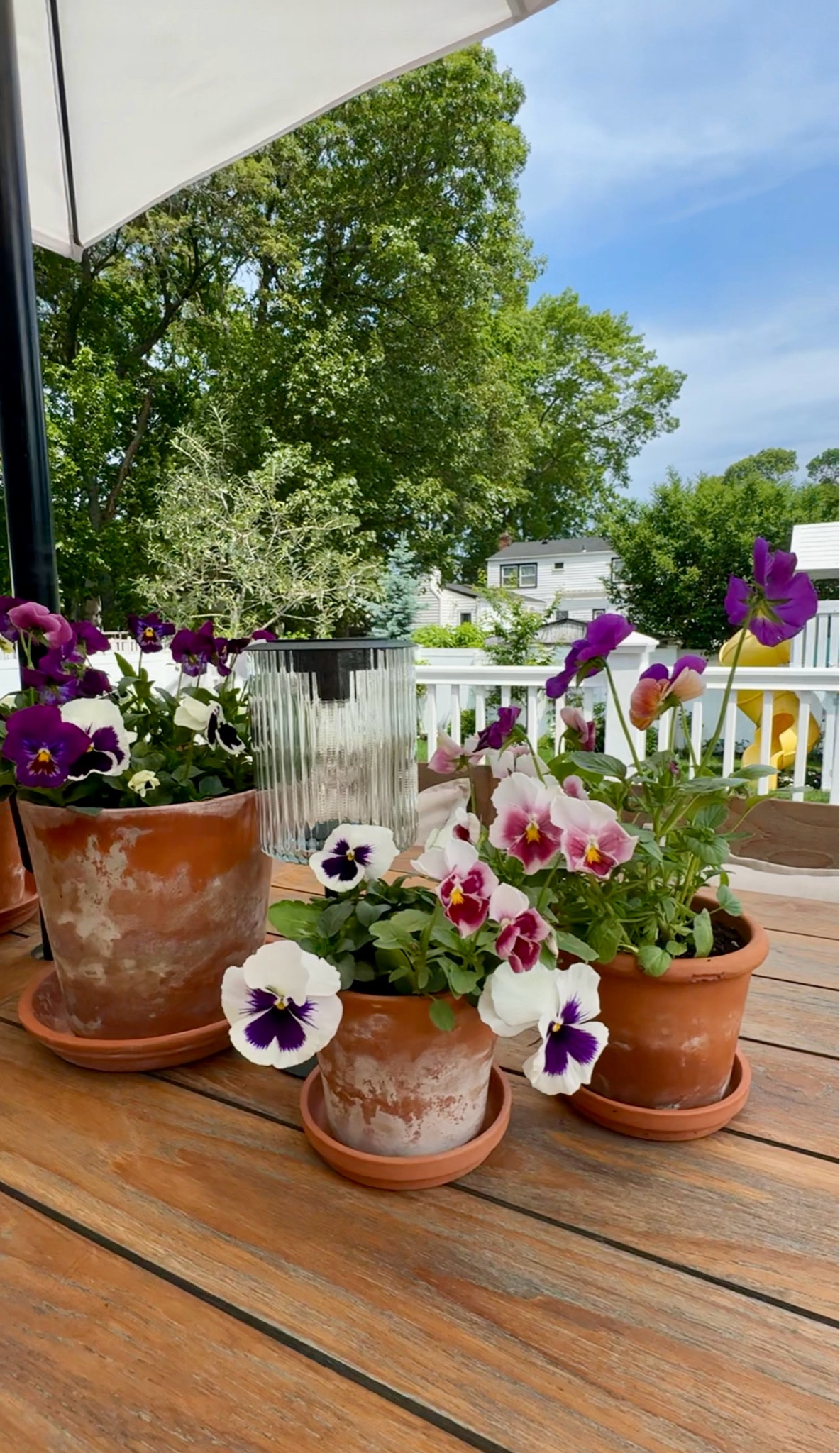 The easiest pots for summer outside

#LTKHome #LTKSaleAlert #LTKOver40
