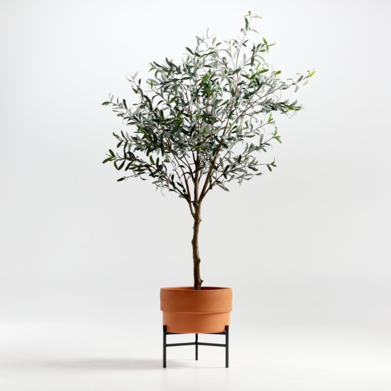 Ruan Large Planter with Faux Olive Tree | Crate and Barrel | Crate & Barrel