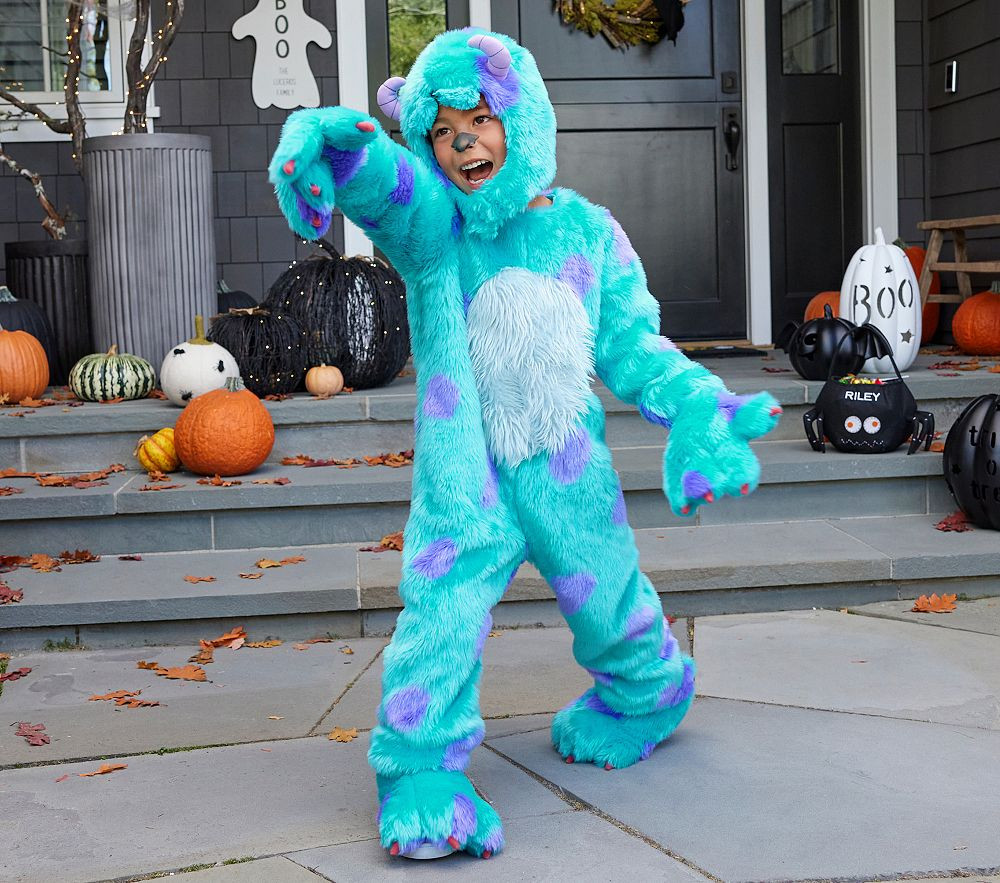Disney and Pixar Monsters, Inc. Sulley Halloween Costume | Pottery Barn Kids