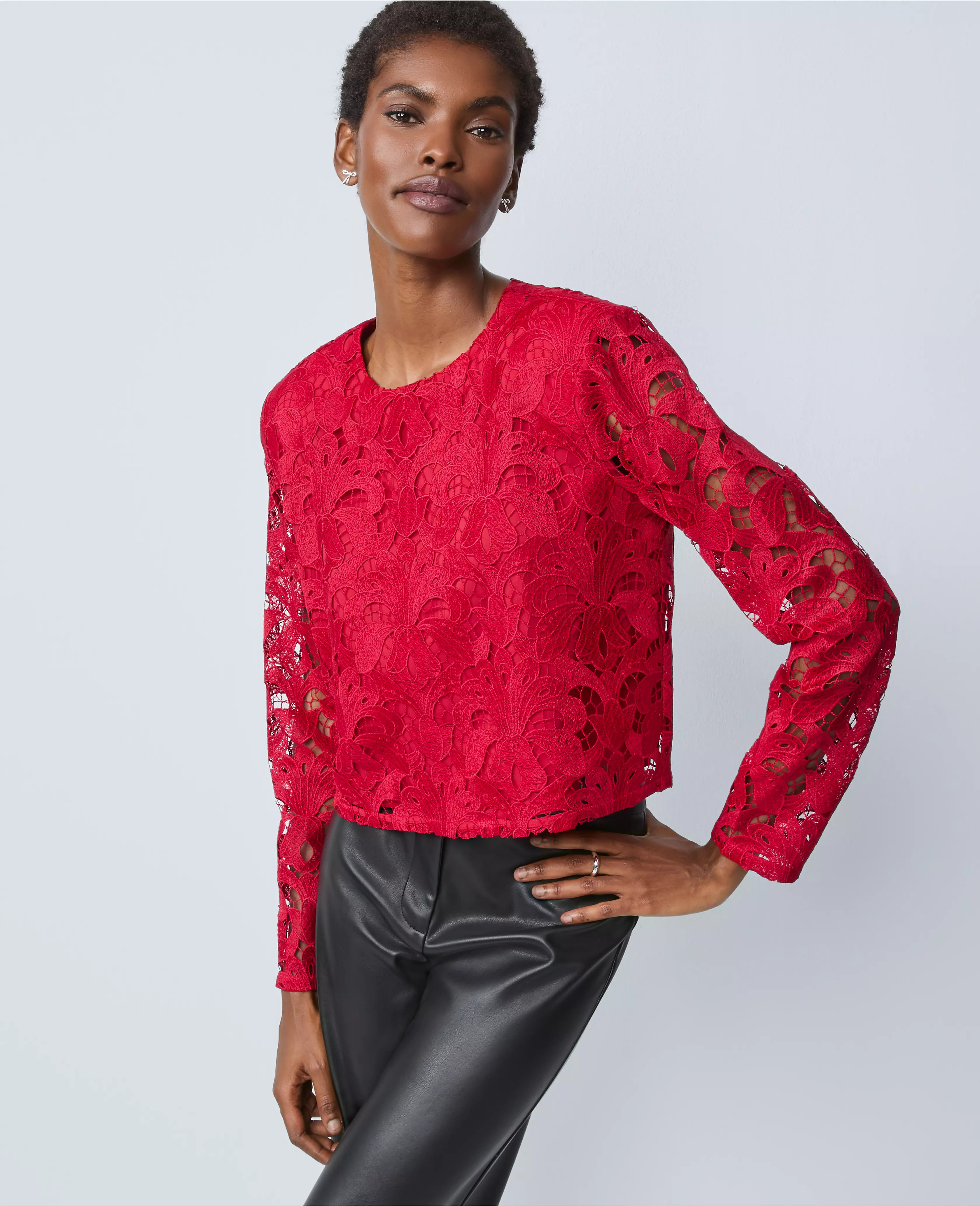 Lace Crew Neck Blouse | Ann Taylor