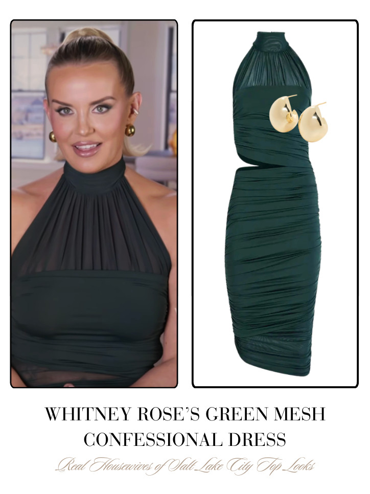 Whitney Rose's Green Mesh Confessional Dress 

 