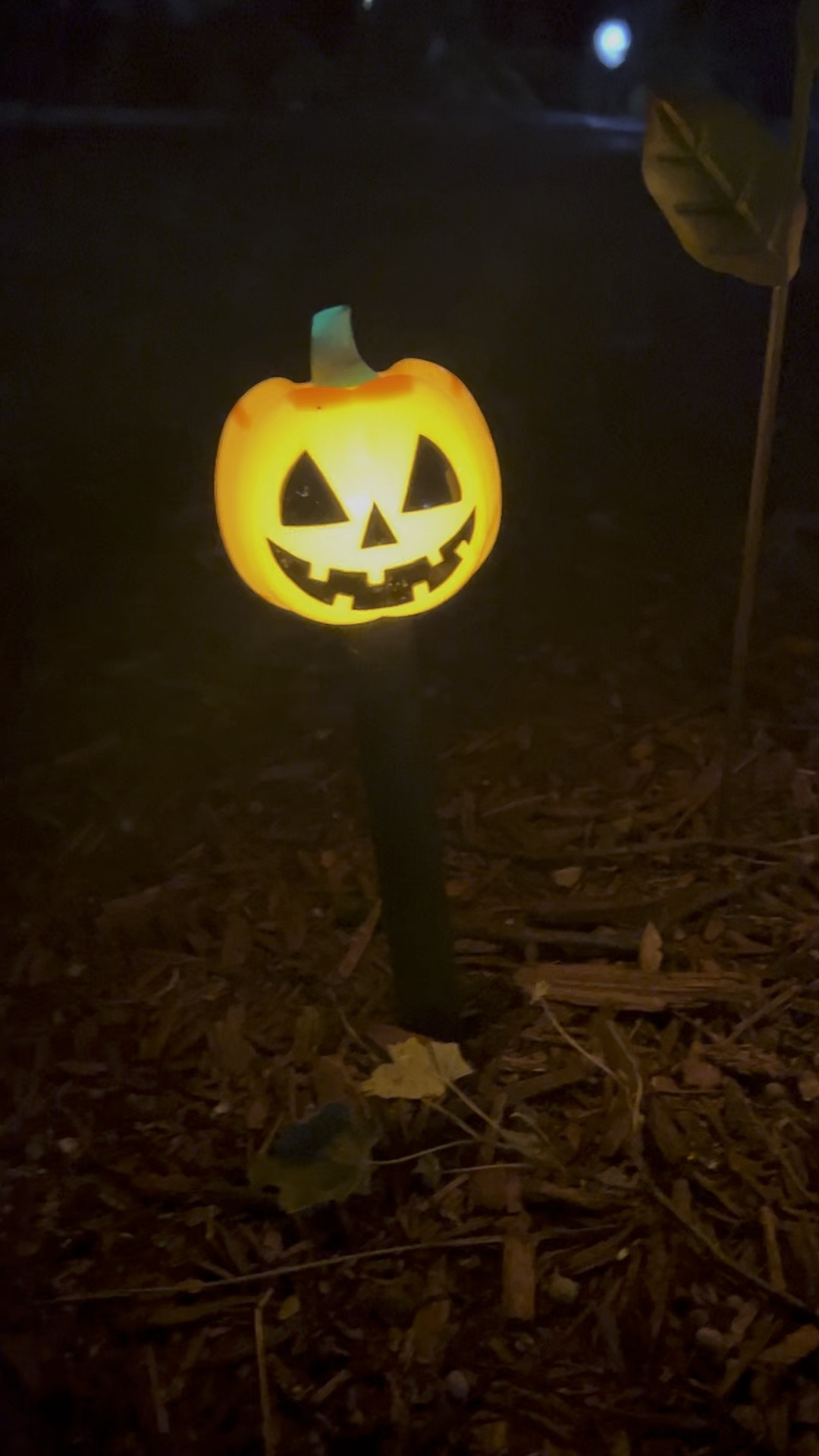 Halloween solar lights • outdoor decor • videos • fall 

#LTKHalloween #LTKVideo #LTKSeasonal