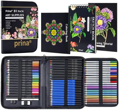 PRINA 81 Drawing Set Sketching Kit, Pro Sketch Pencils Art Supplies with Rainbow, Colored, Graphi... | Amazon (US)