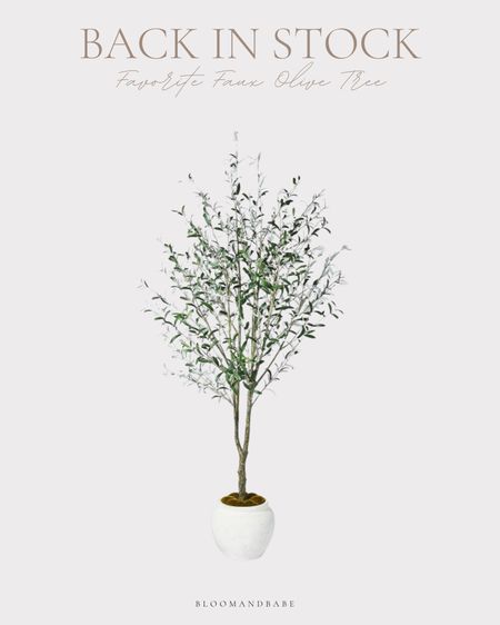Our beautiful olive tree from Target is back in stock! Don’t sleep on this- it sells out every single time! 

Target/olive tree/studio McGee/home design /home decor 


#LTKhome #LTKsalealert #LTKstyletip