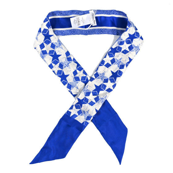 Silk Star Mitzah Scarf Blue | FASHIONPHILE (US)