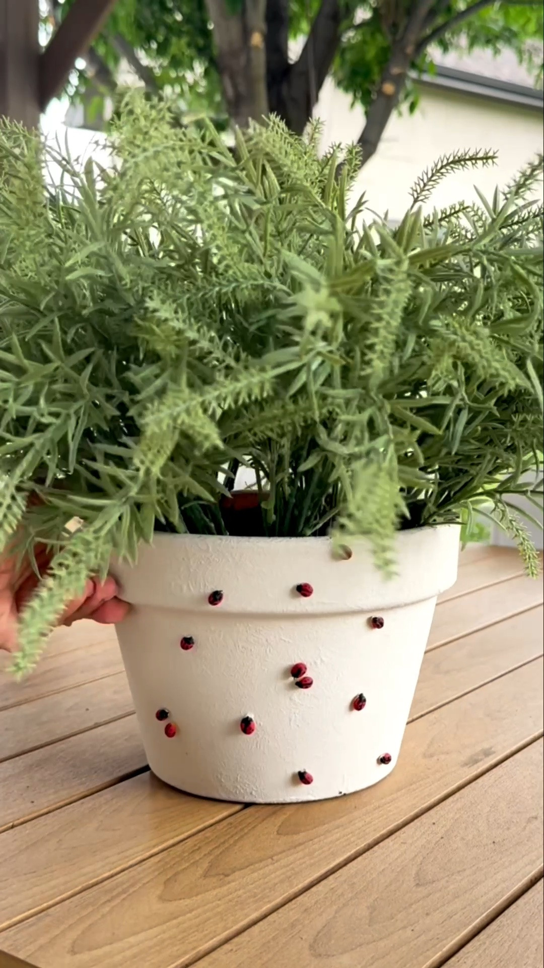 The cutest ladybug pot! 🐞 I’m obsessed!

#LTKSeasonal #LTKHome #LTKSaleAlert